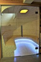 sauna saunapro 12